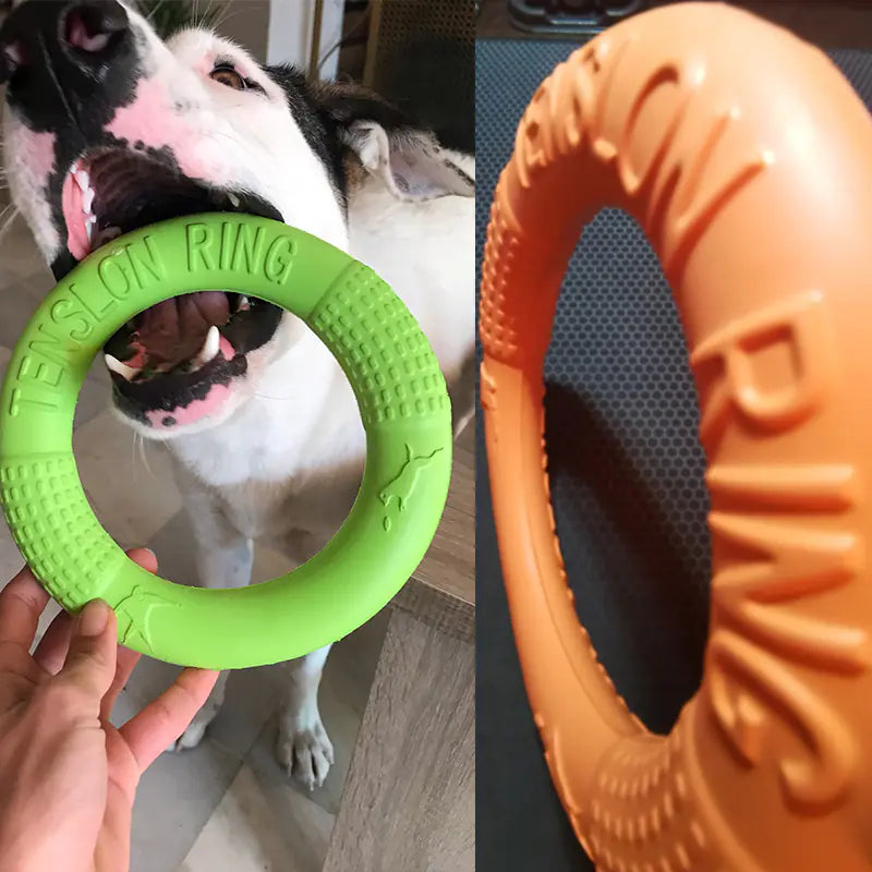 Interactive EVA Training Ring