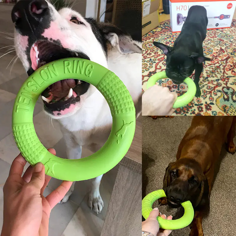 Interactive EVA Training Ring